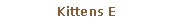 Pole tekstowe: Kittens E