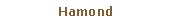 Pole tekstowe: Hamond