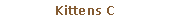 Pole tekstowe: Kittens C