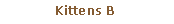 Pole tekstowe: Kittens B