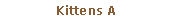 Pole tekstowe: Kittens A