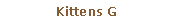 Pole tekstowe: Kittens G