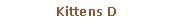 Pole tekstowe: Kittens D